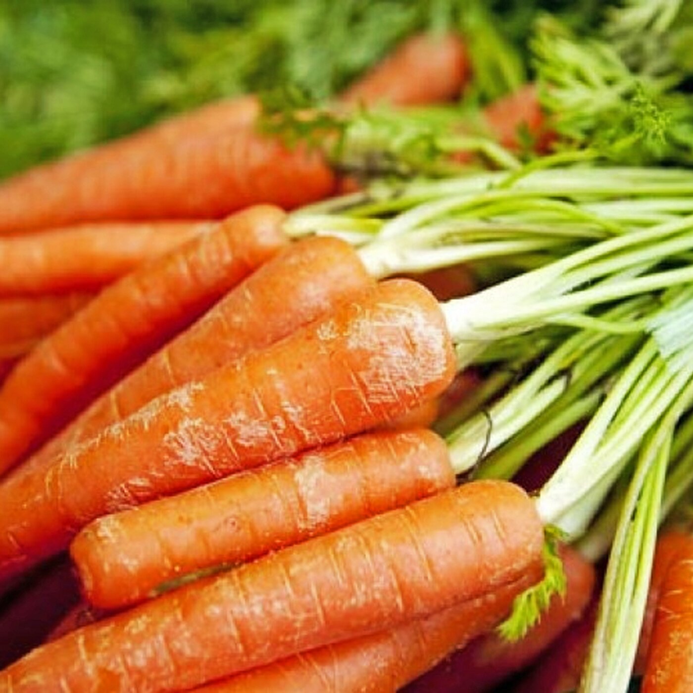 Морковь "Смесь лучших популярных сортов" 15г