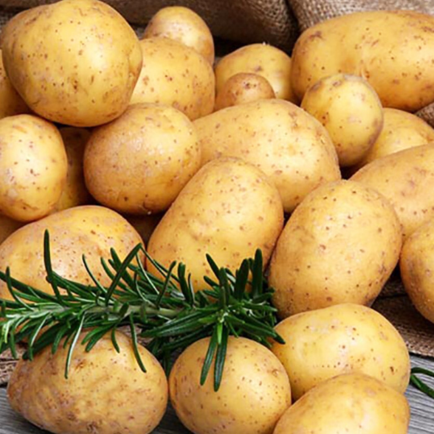 Картофель семенной "Электра" (1 репродукция), 1 кг